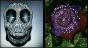 Crazy Skull e Grappolo