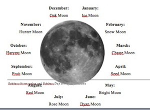 il medaglione sul fondello