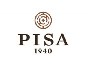 logo pisa